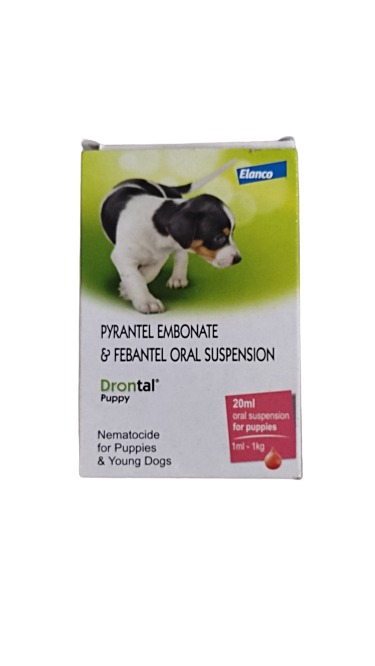 Drontal hotsell puppy plus