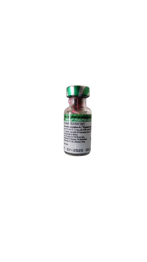 NOBIVAC TRICAT TRIO VACCINE - 1 DOSE